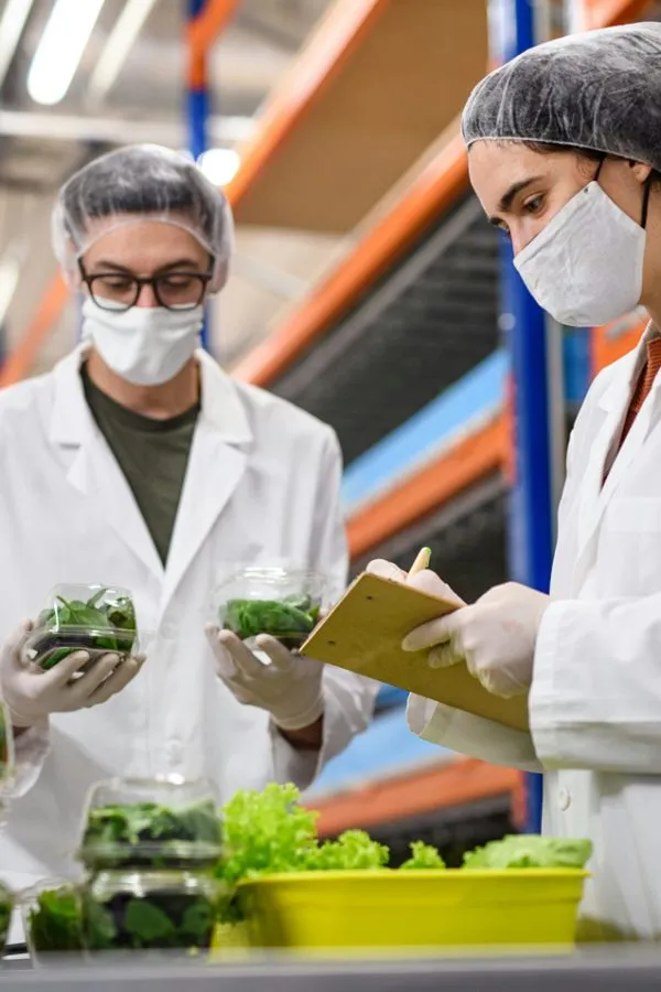 Corsi HACCP